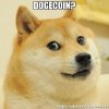 doge.jpg